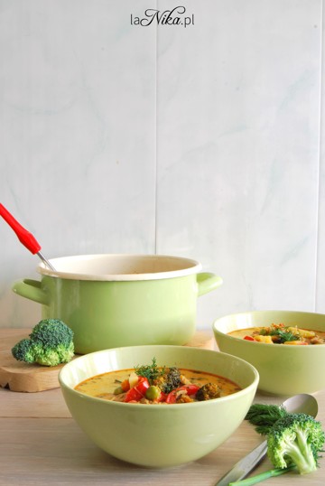 Rozgrzewająca zupa z kurczakiem, brokułem, papryką i groszkiem 1